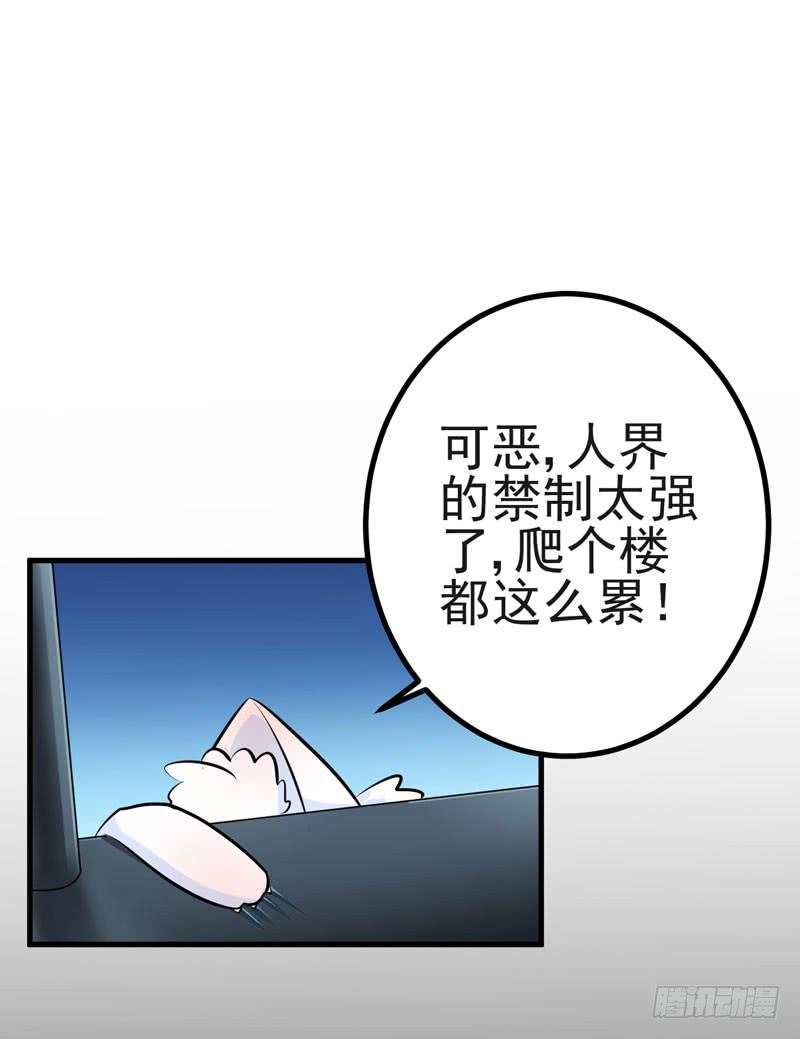 粉色的回忆-第3话