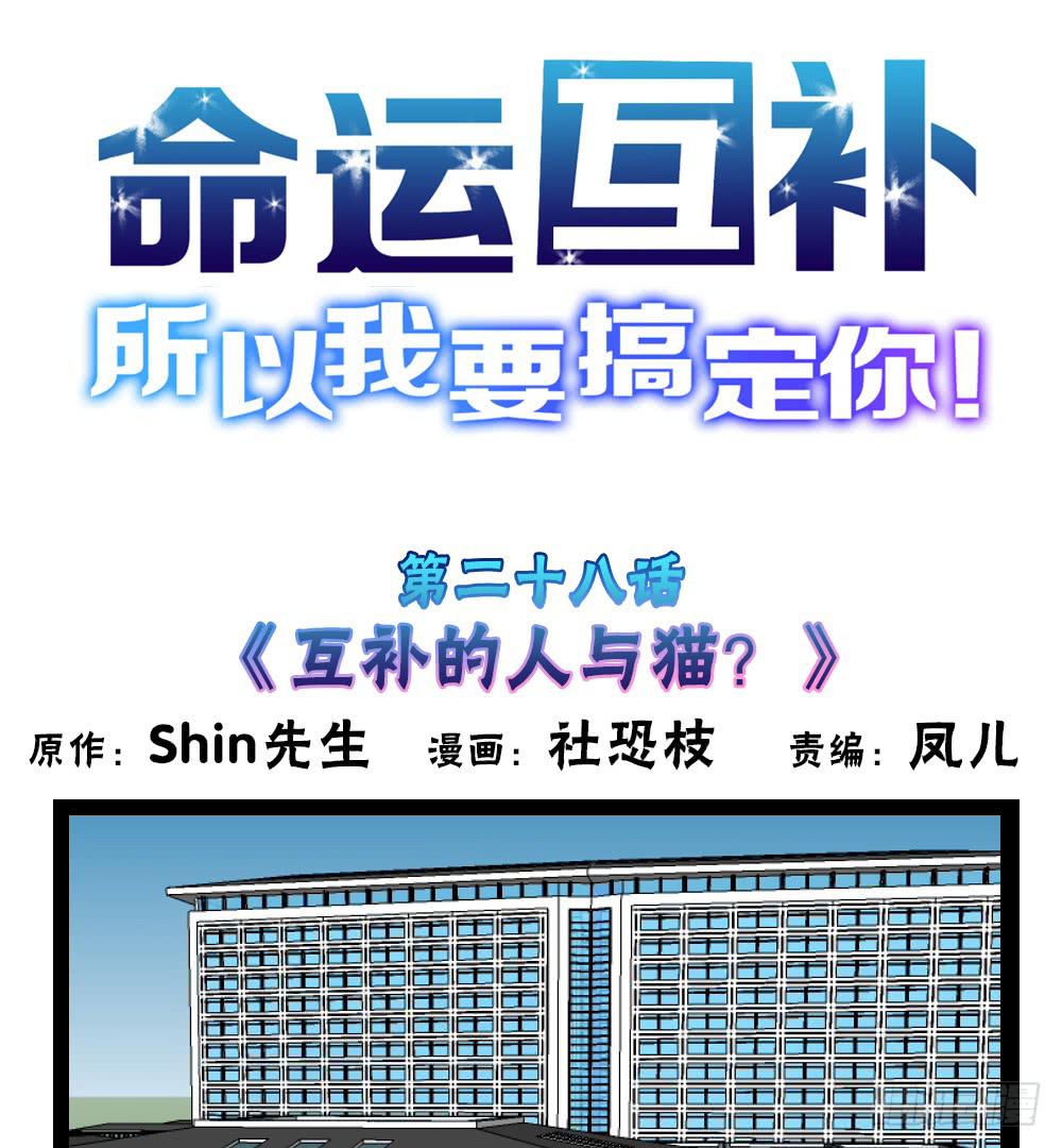 🍟命运互补，所以我要搞定你！ 第二十八话：互补的人与猫？ 第1页