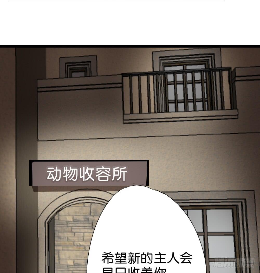 🍟命运互补，所以我要搞定你！ 第三十二话：黑娃的真相 第20页
