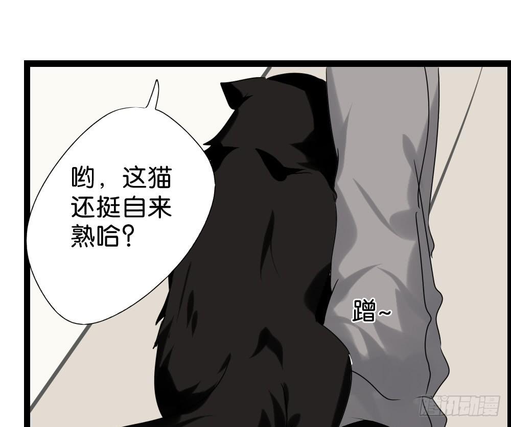 🍟命运互补，所以我要搞定你！ 第三十二话：黑娃的真相 第49页