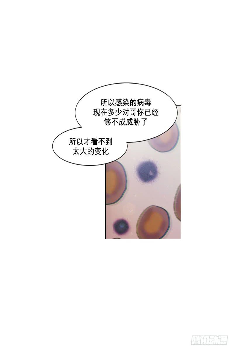 第四十五话下-第91话