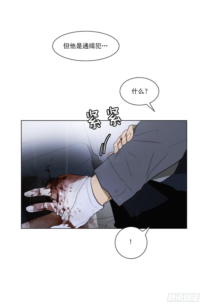 第四十九话下-第99话