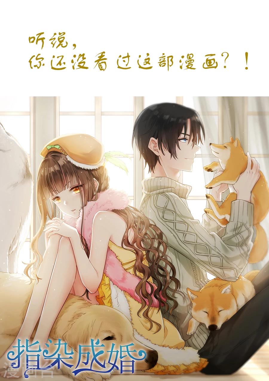 第141话 留下一点回忆-第141话
