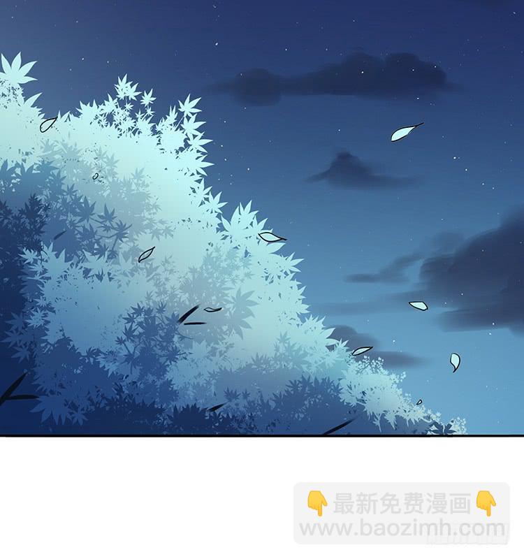 消失的马车(1/2)-第25话