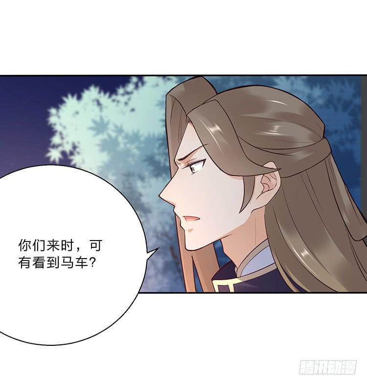 消失的马车(1/2)-第25话