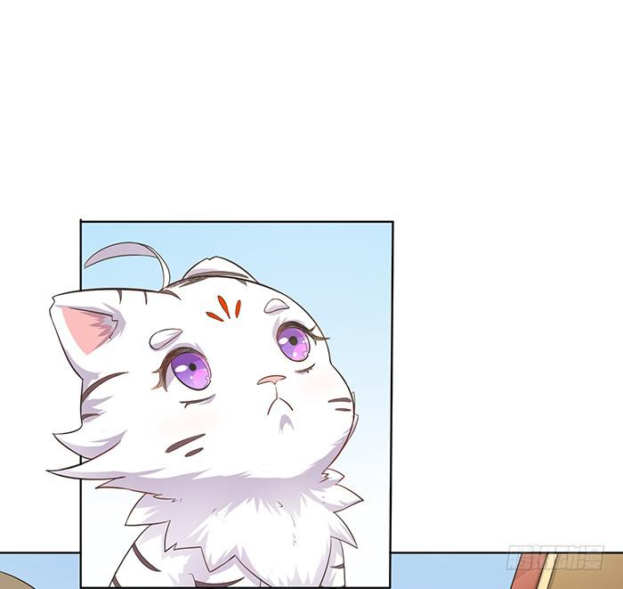 小短腿(1/2)-第5话