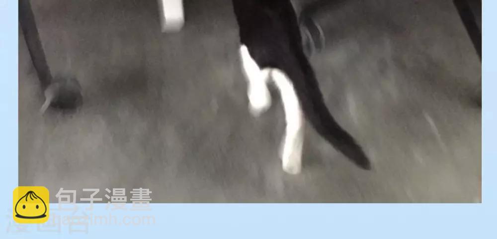 🍟末日超神激动队 第31话 苏瑾的执念 第19页