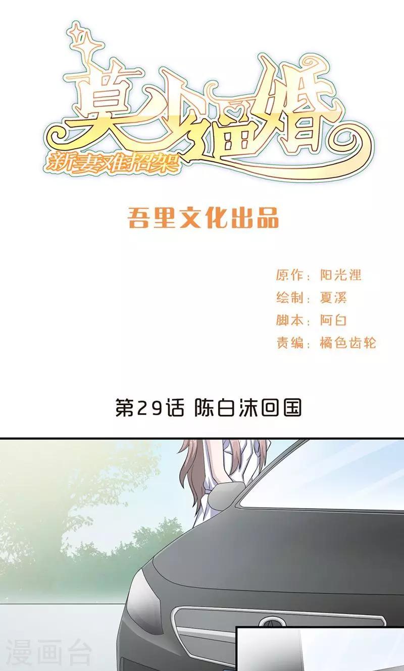 第29话 陈白沫回国-第29话