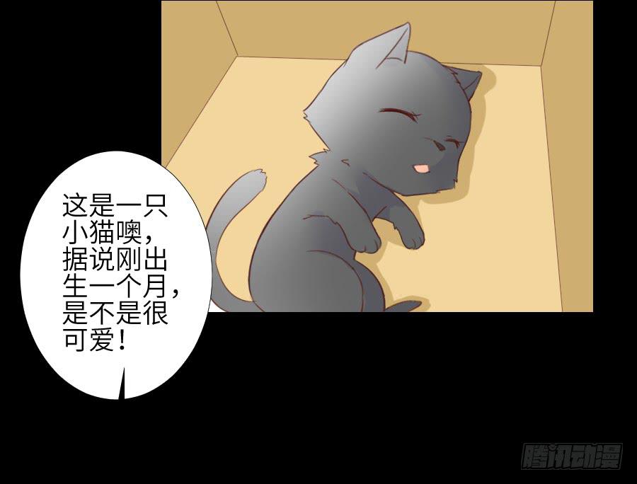 黑纱一生-第59话