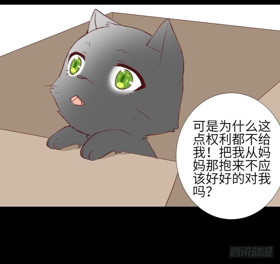 黑纱一生-第59话