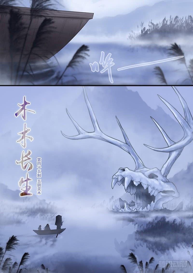 第45刻 五阴灵木-第47话