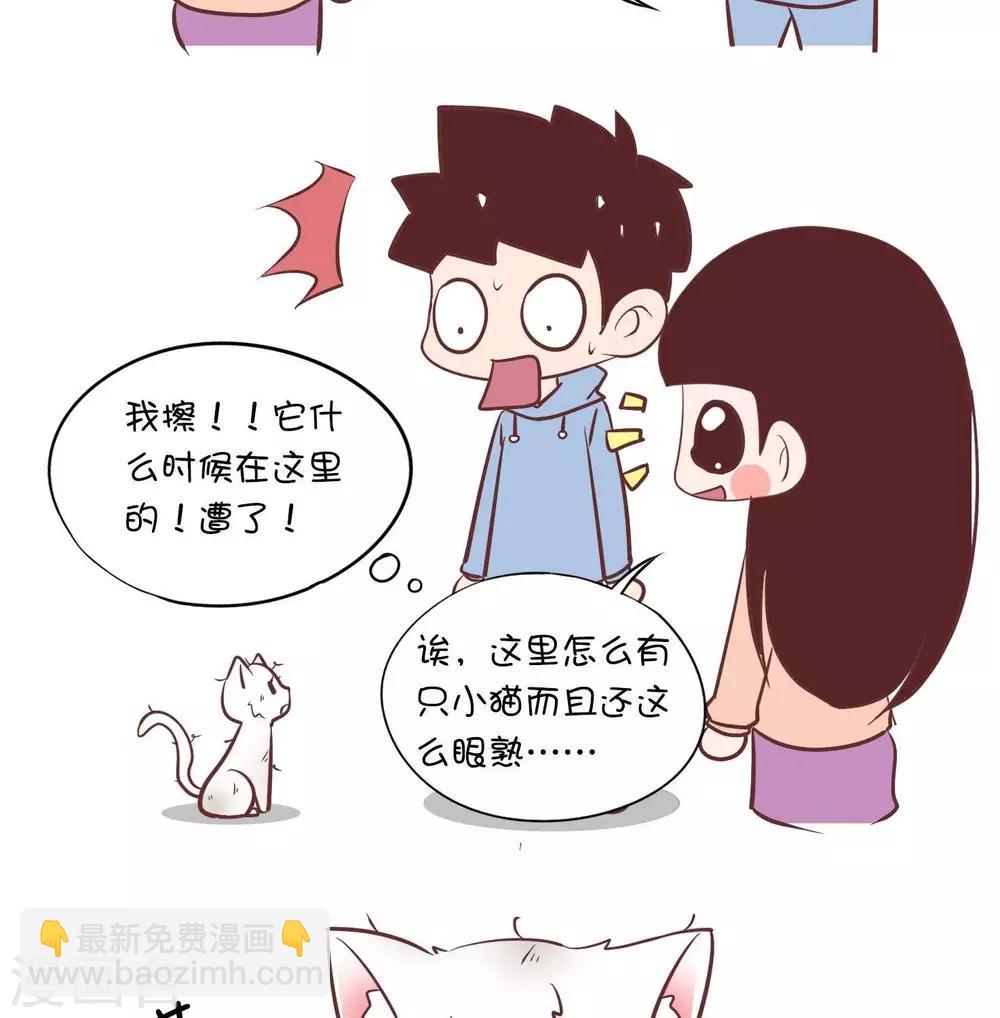 第55话   寄养小猫2-第55话