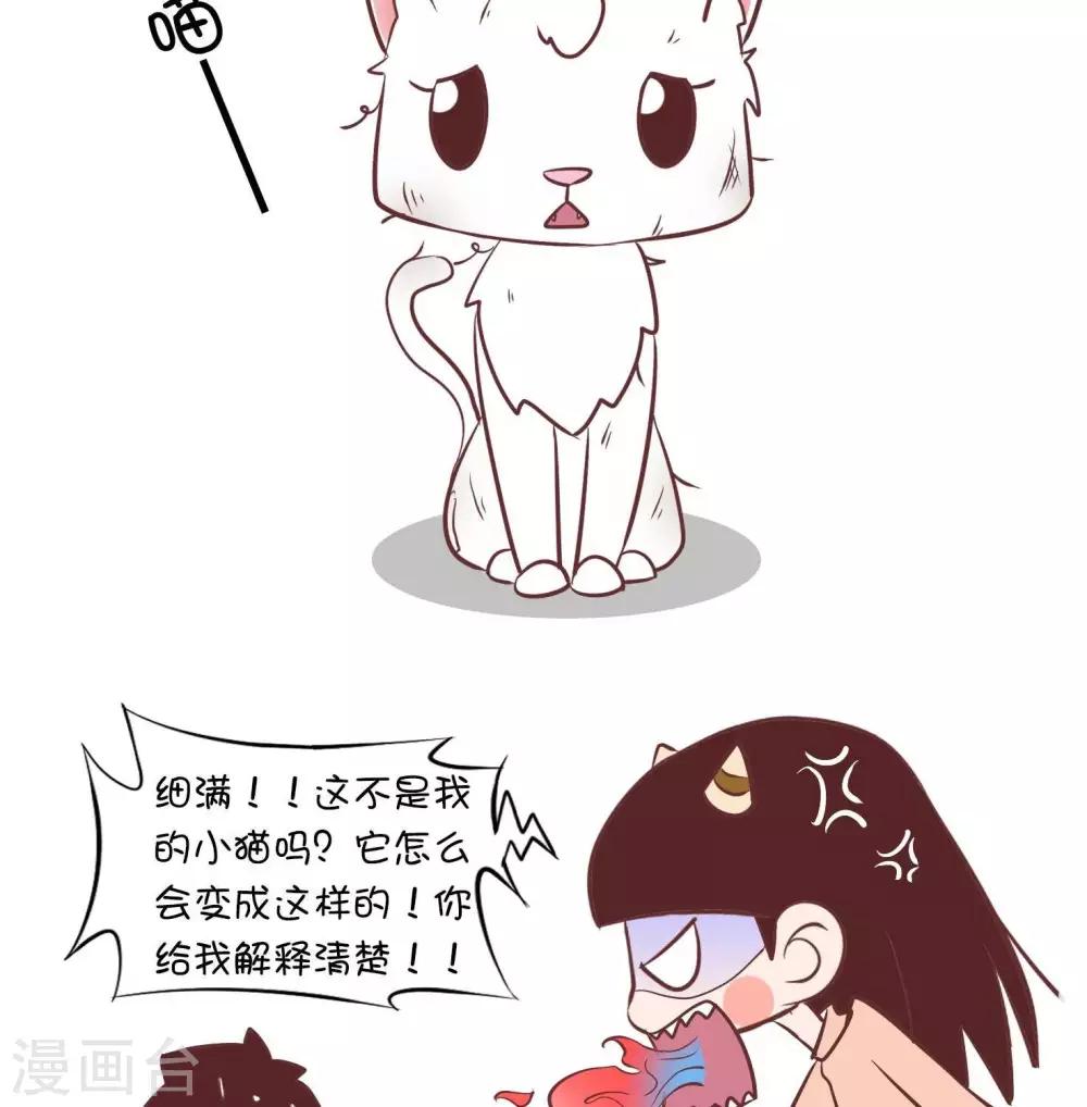 第55话   寄养小猫2-第55话