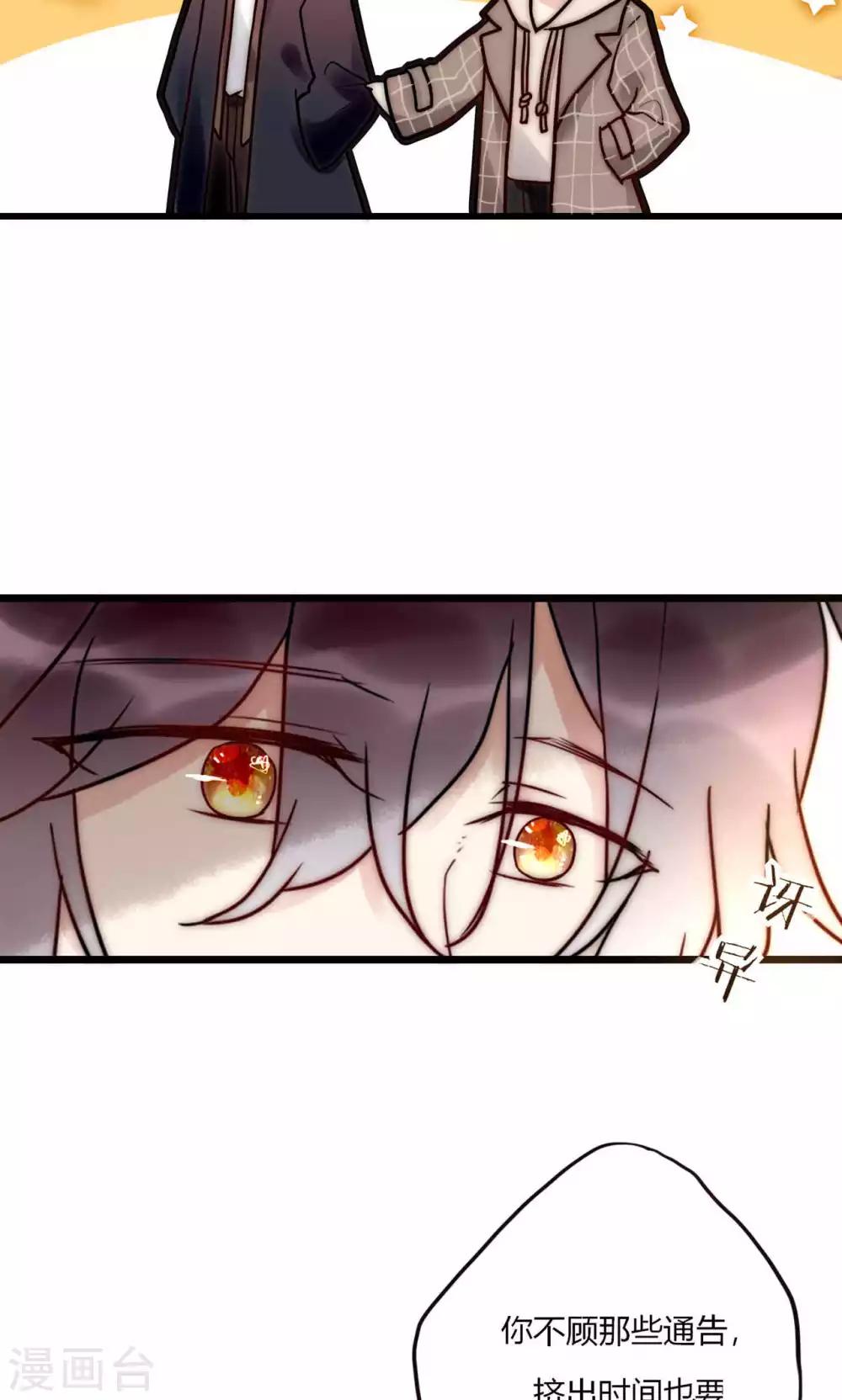 第64话 陆楠风VS宁嘉-第65话