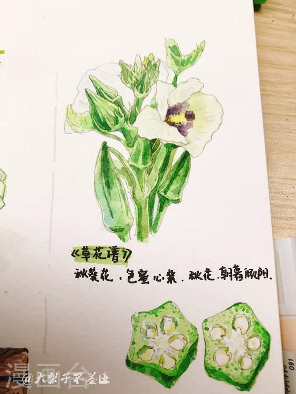 美食篇-第31话
