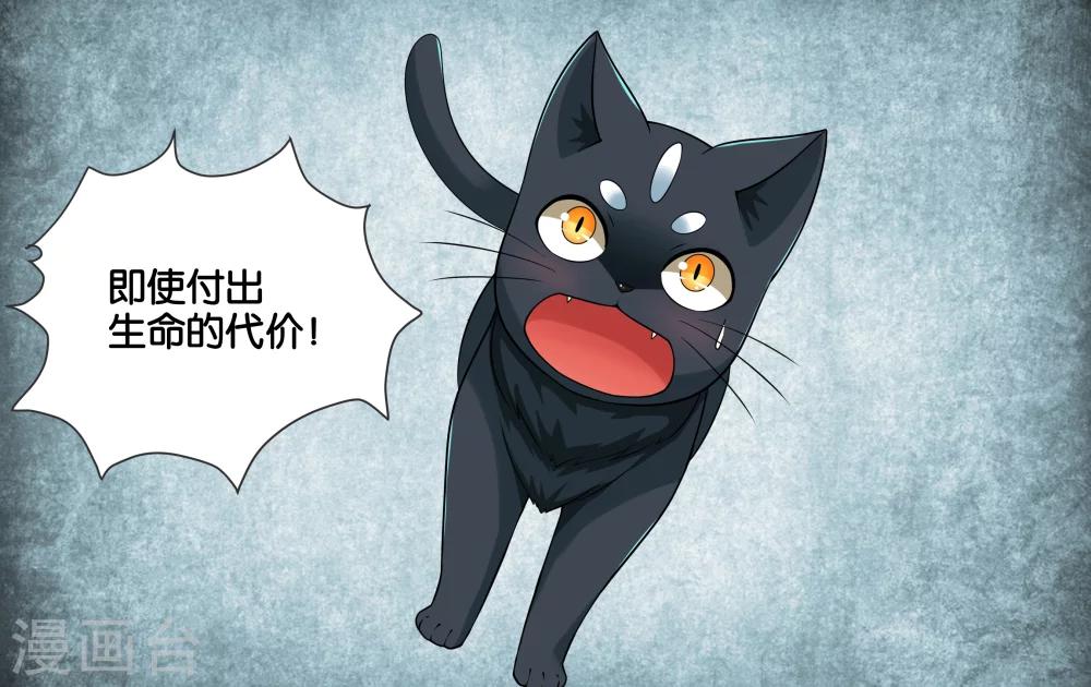 第17话 特别的眼睛-第19话