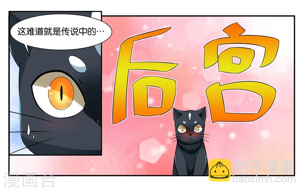 第17话 特别的眼睛-第19话