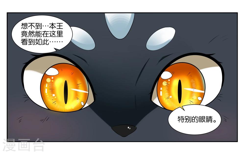 第17话 特别的眼睛-第19话