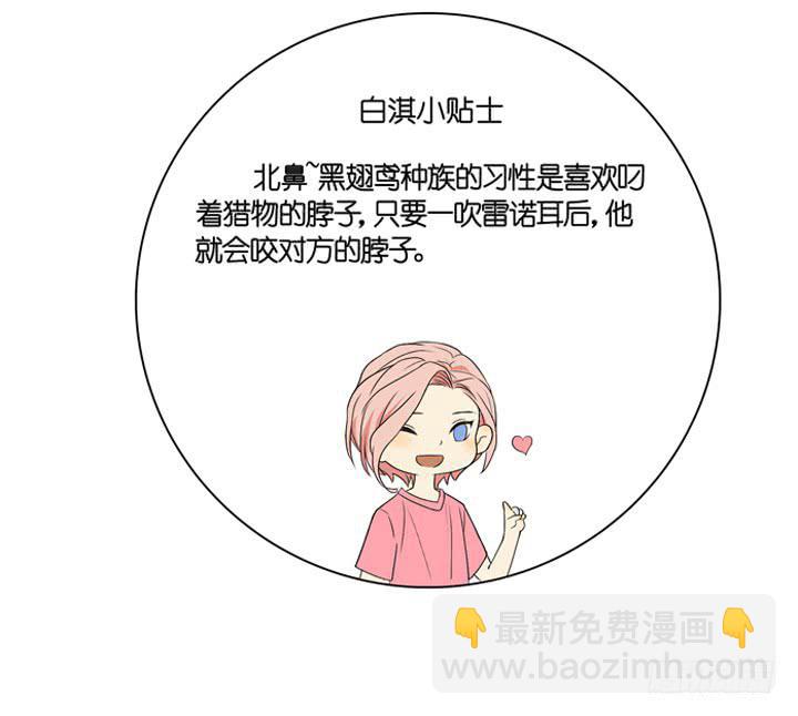 雷诺的小秘密-第9话