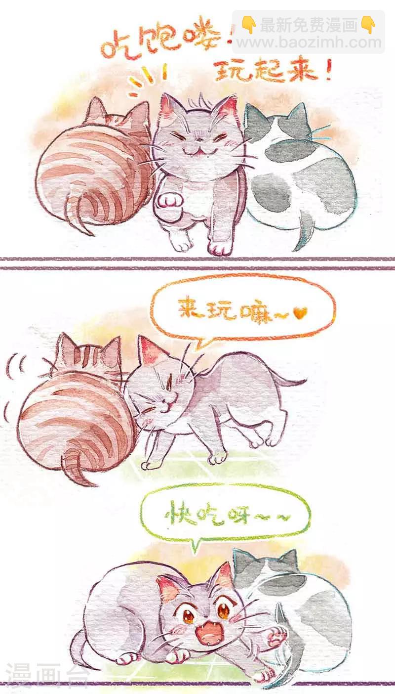 第1话 小猫怕丢-第1话