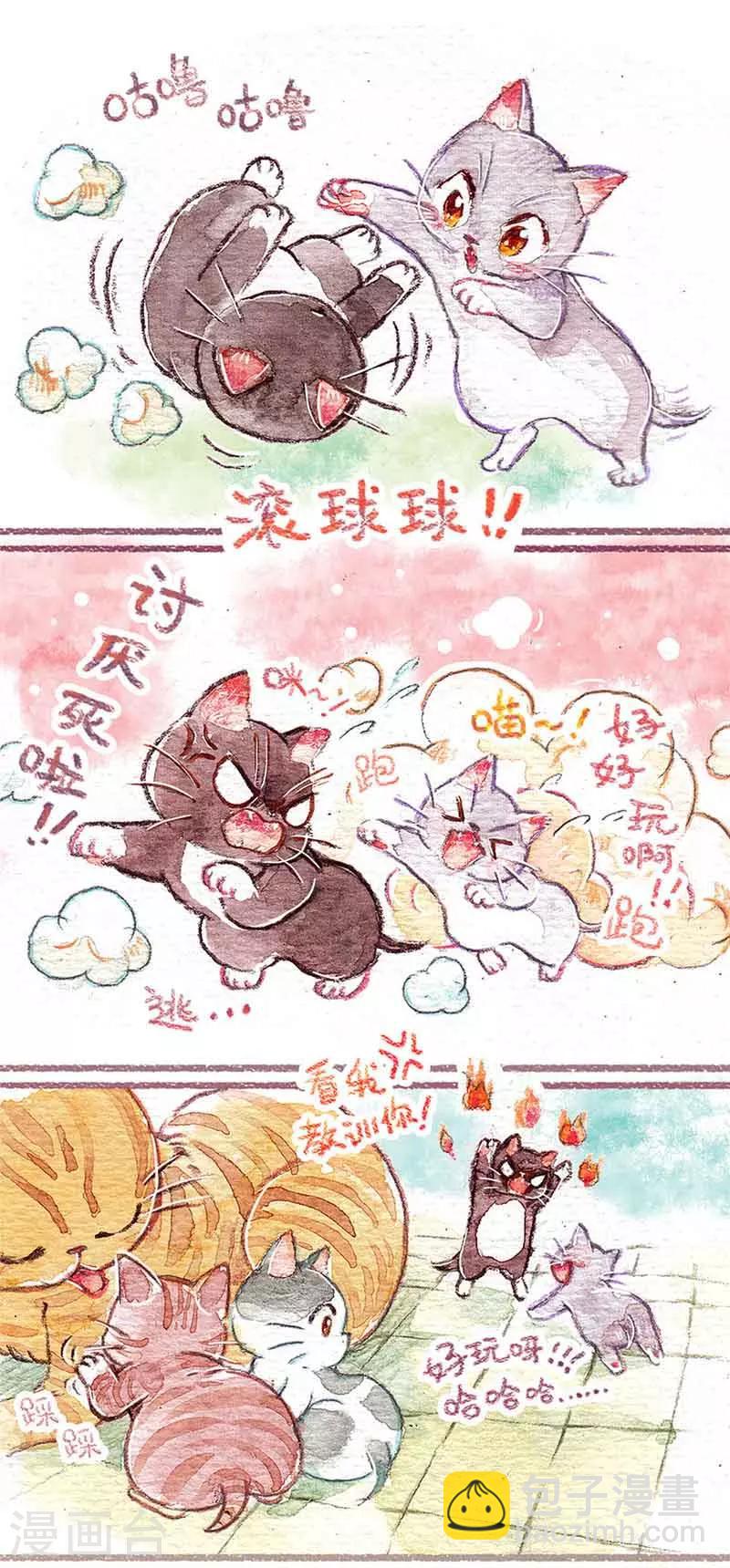第1话 小猫怕丢-第1话