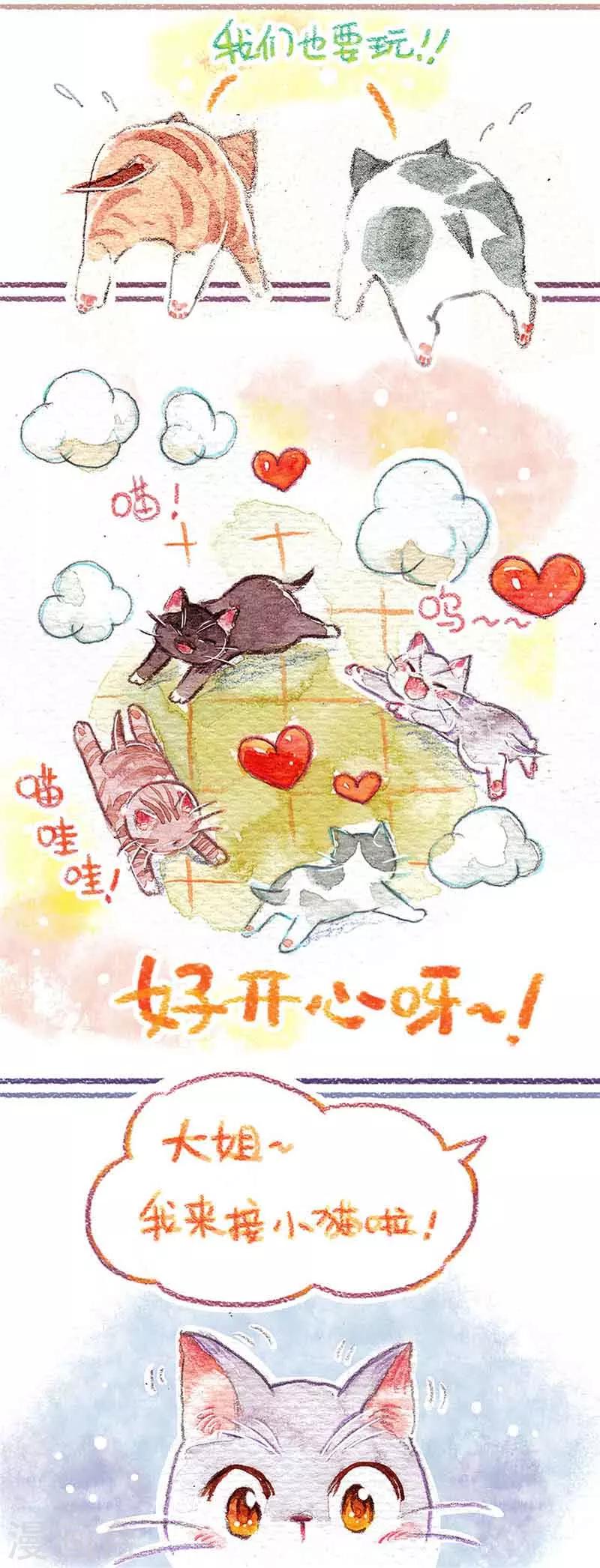 第1话 小猫怕丢-第1话