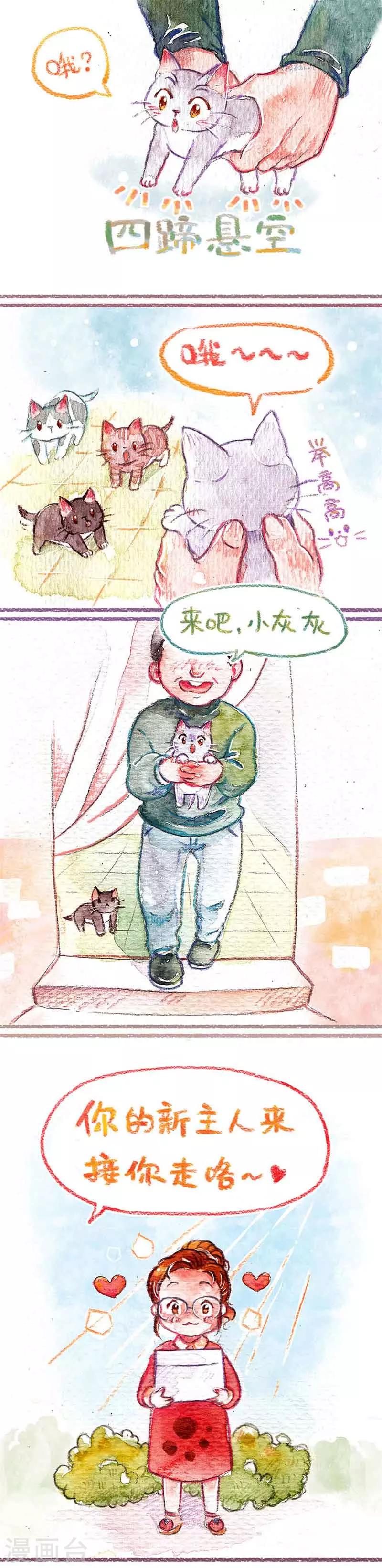 第1话 小猫怕丢-第1话