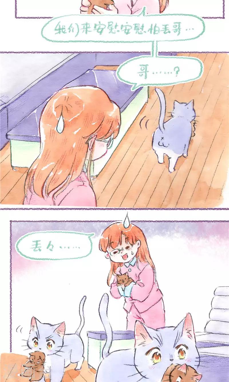 第95话 藏猫猫-第103话