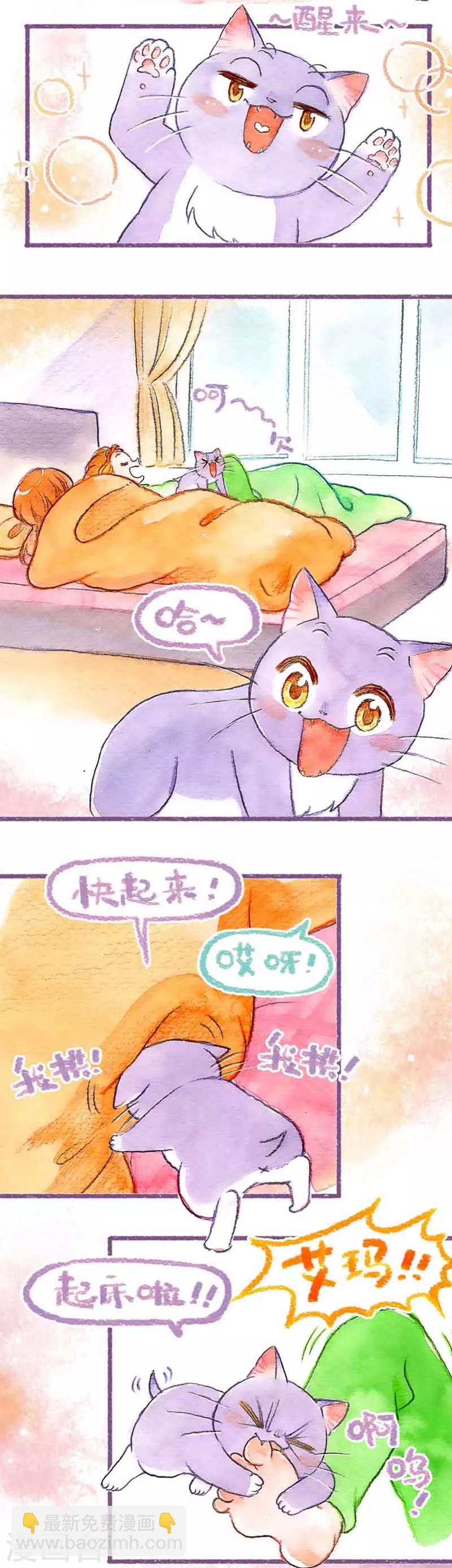 第31话  馋猫怕丢-第31话
