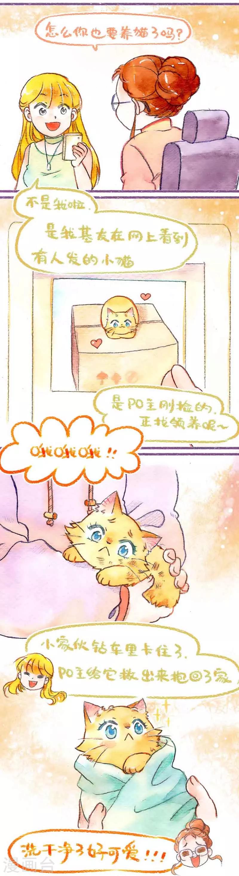 第33话 怕丢的女友-第33话