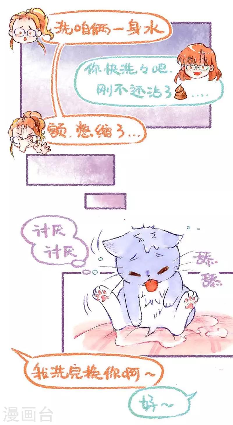 第39话 喵生第一洗-第39话