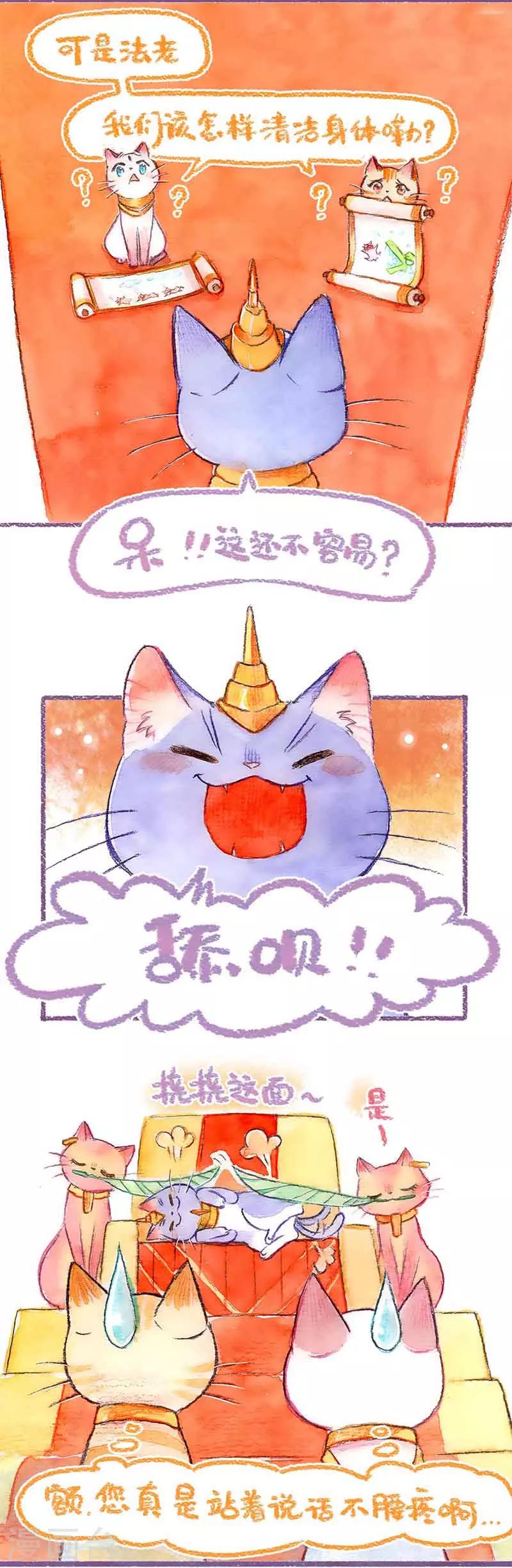 第39话 喵生第一洗-第39话