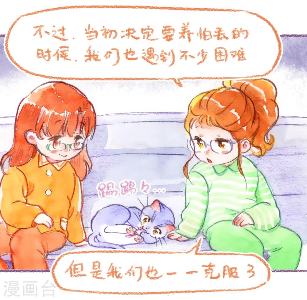第46话 最佳领养人-第47话