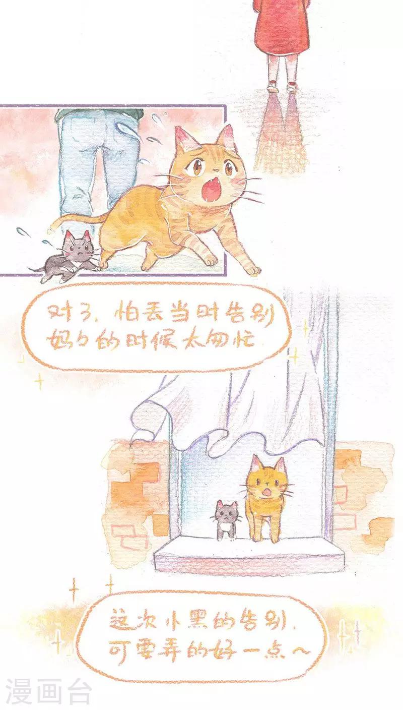 第59话 成长的尝试-第63话