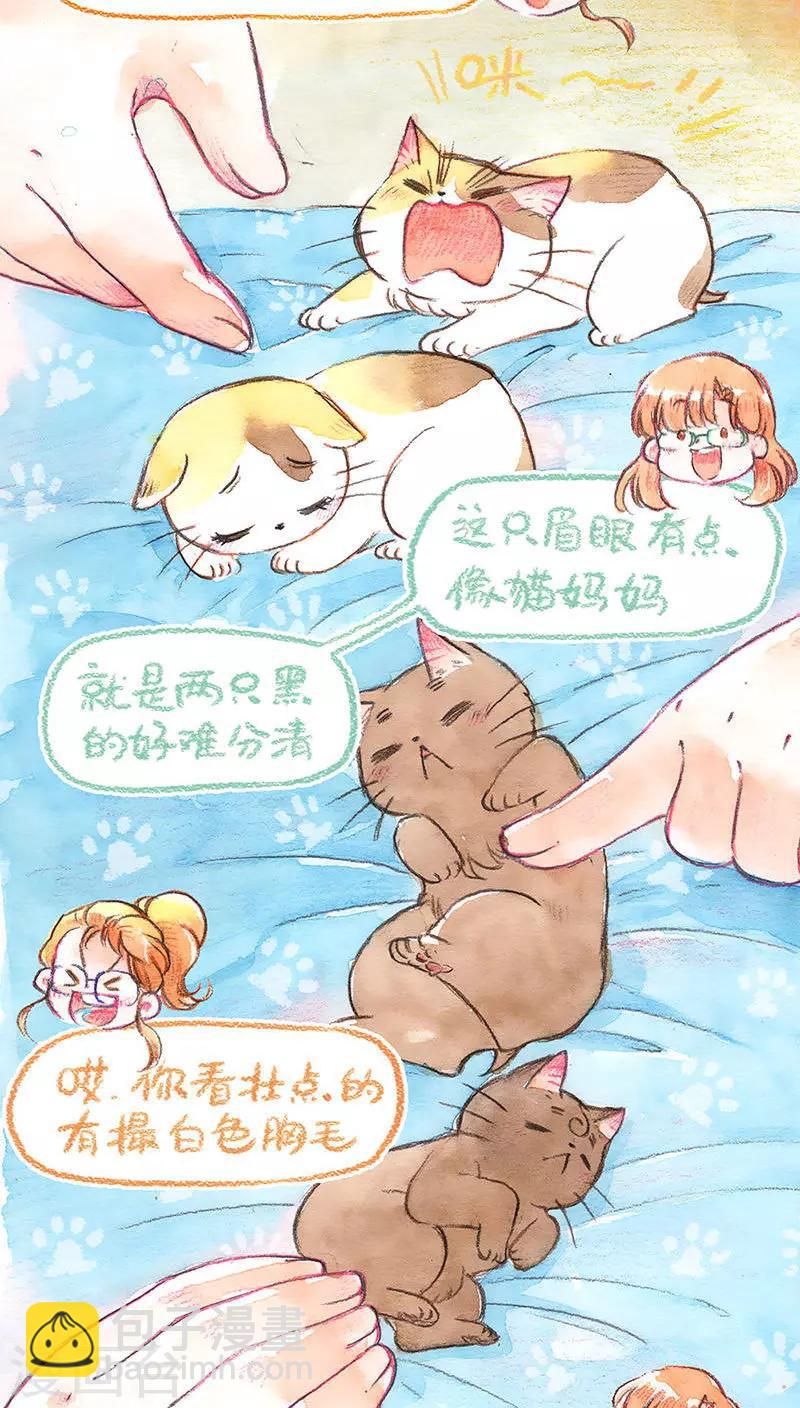 第67话 重拾的信心-第71话