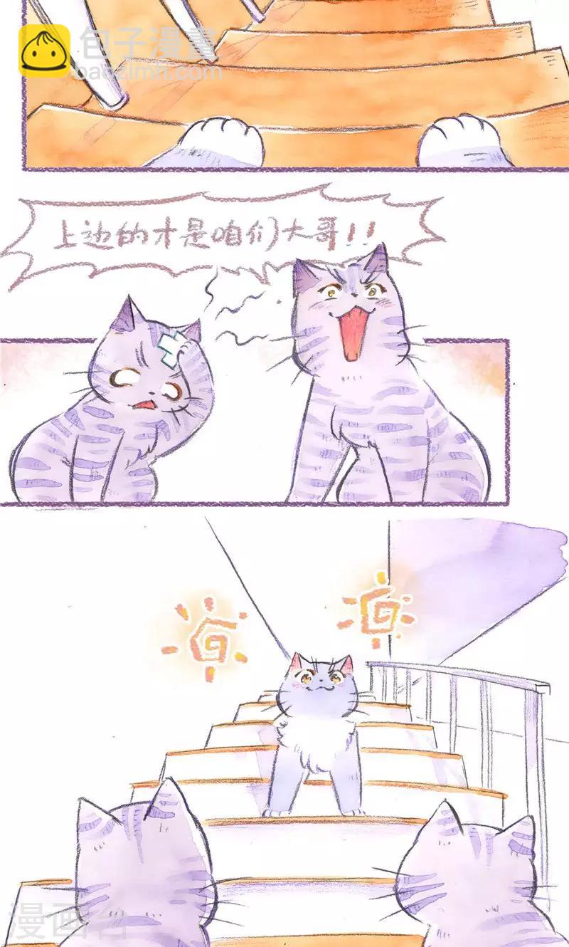 第78话 自力更生-第85话