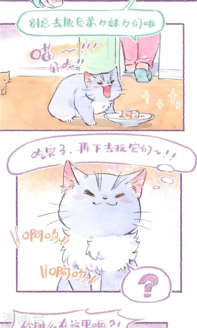 第87话 叼着走-第95话