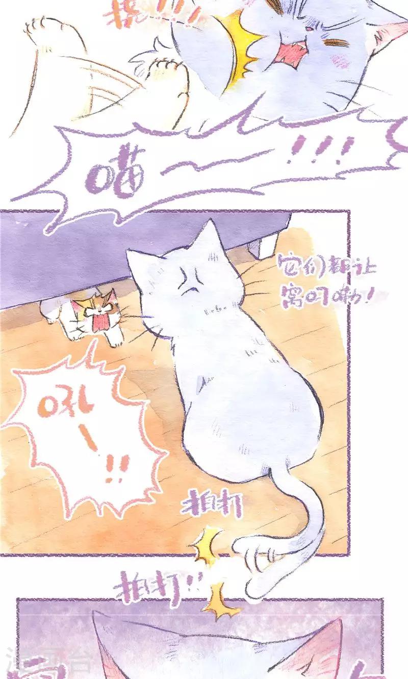 第87话 叼着走-第95话