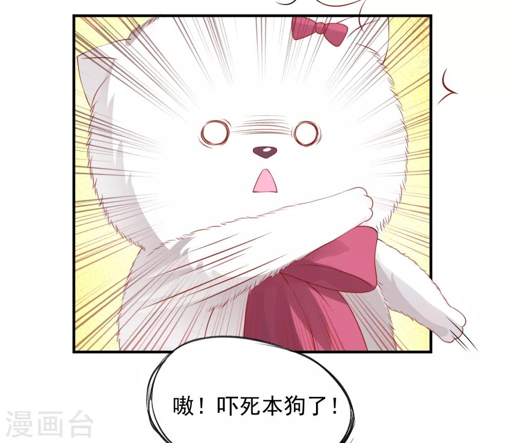 第9话 宠物恋人1(1/2)-第9话
