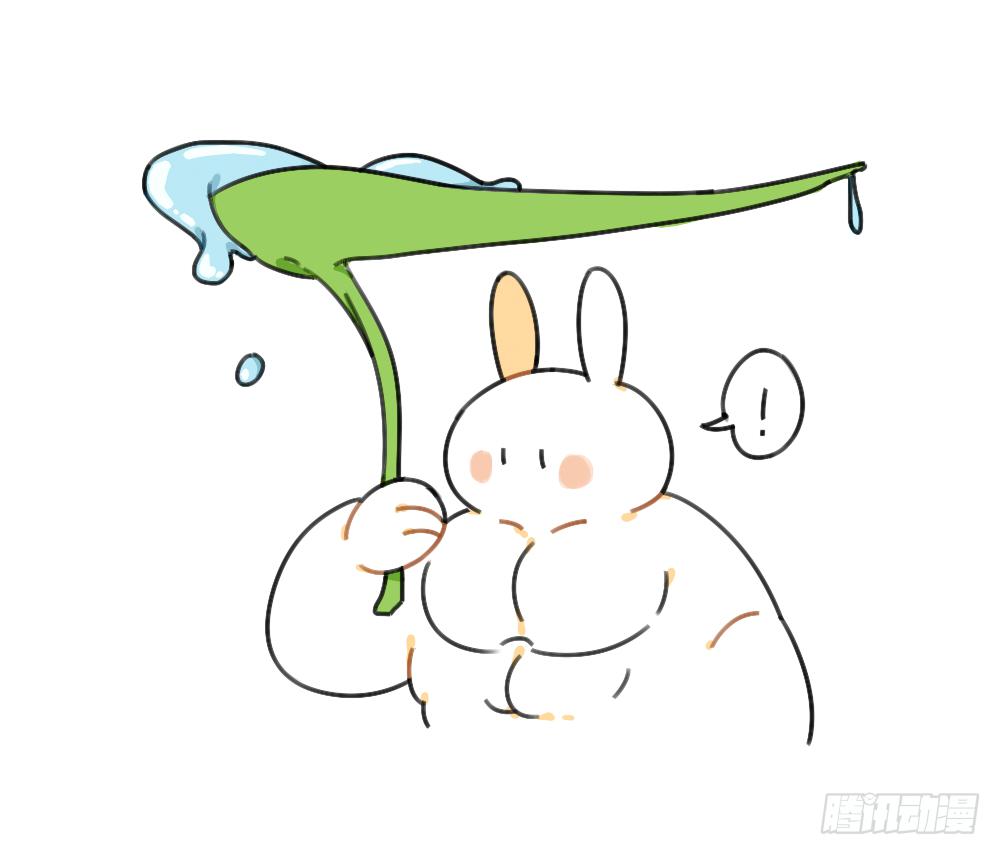 🍝破耳兔poruby 39、雨天不怕，我有花花，花花高 第4页