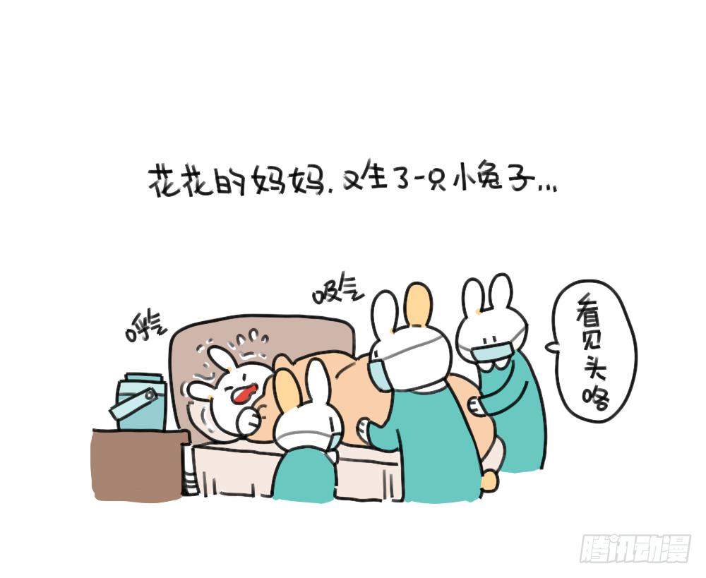 🍝破耳兔poruby 45、比小兔子更可爱的，是小小兔 第1页