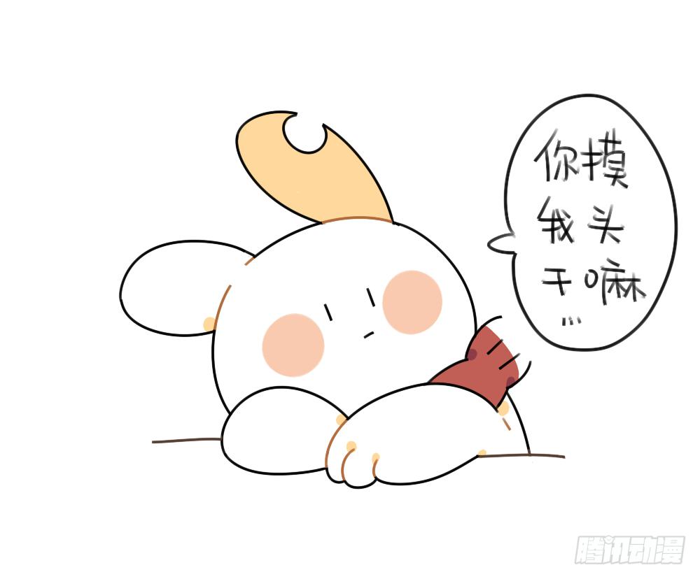 🍝破耳兔poruby 47、因为我毛茸茸的呀~ ​​​ 第12页