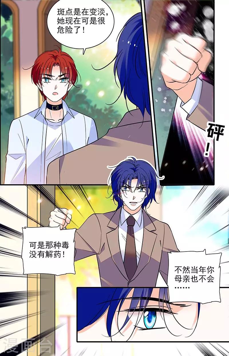 第297话 宝藏的传说-第297话