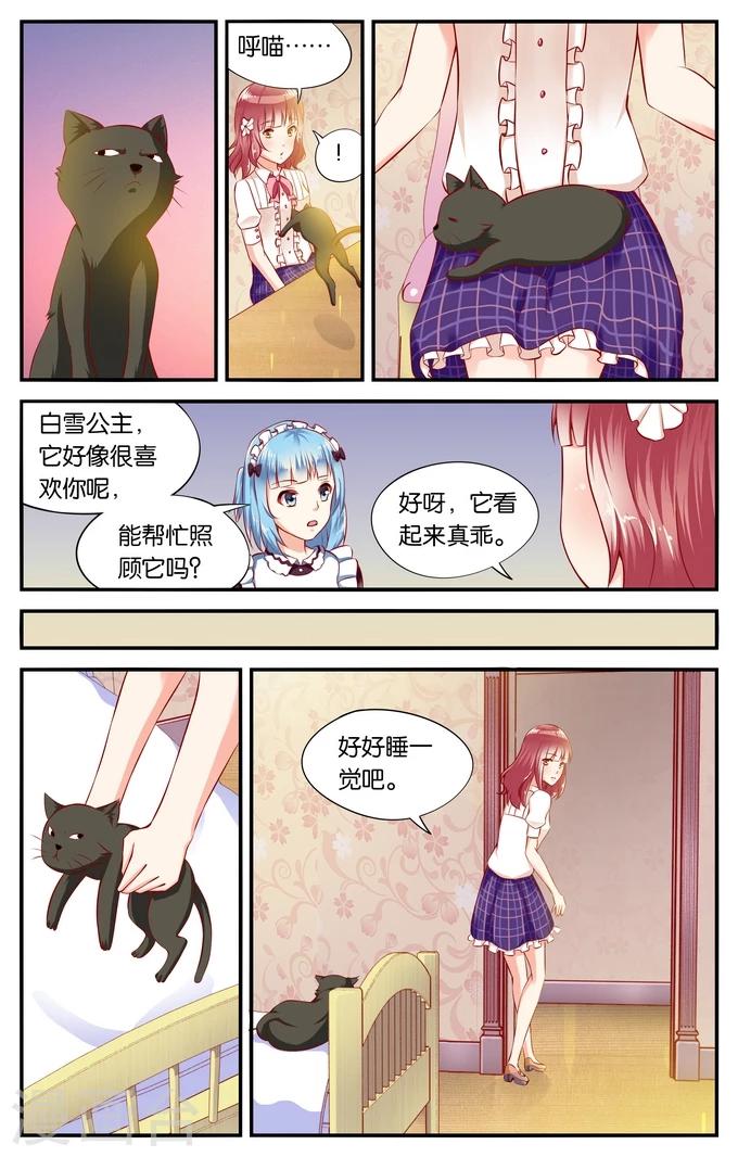 第37话 喵喵喵喵大爷驾到(2)-第37话