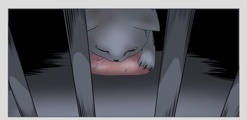 011猫和他的猫part3-第11话