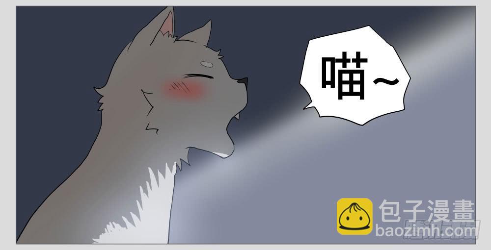 011猫和他的猫part3-第11话