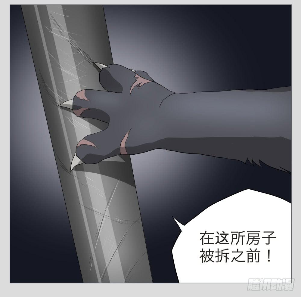 011猫和他的猫part3-第11话