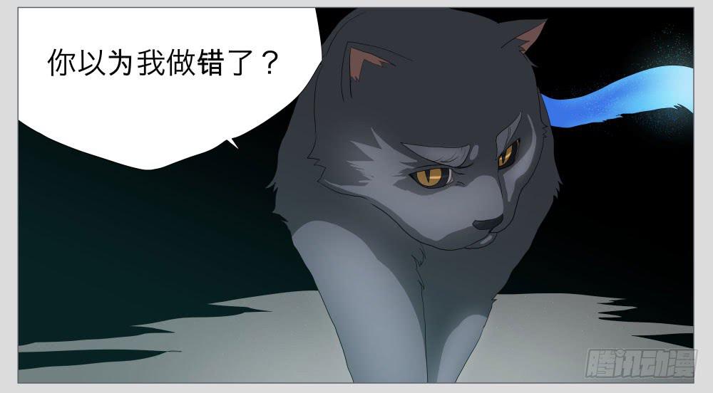 011猫和他的猫part3-第11话