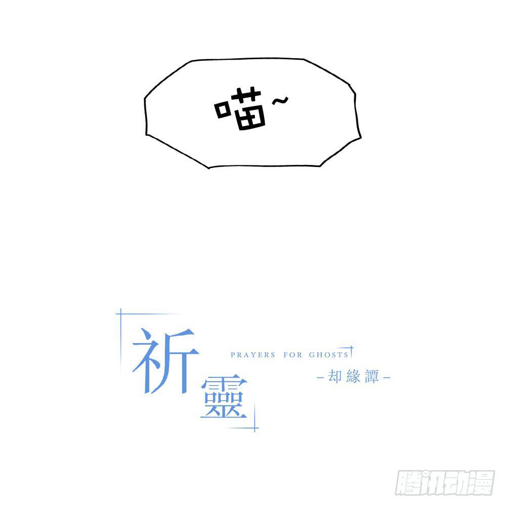 011猫和他的猫part3-第11话