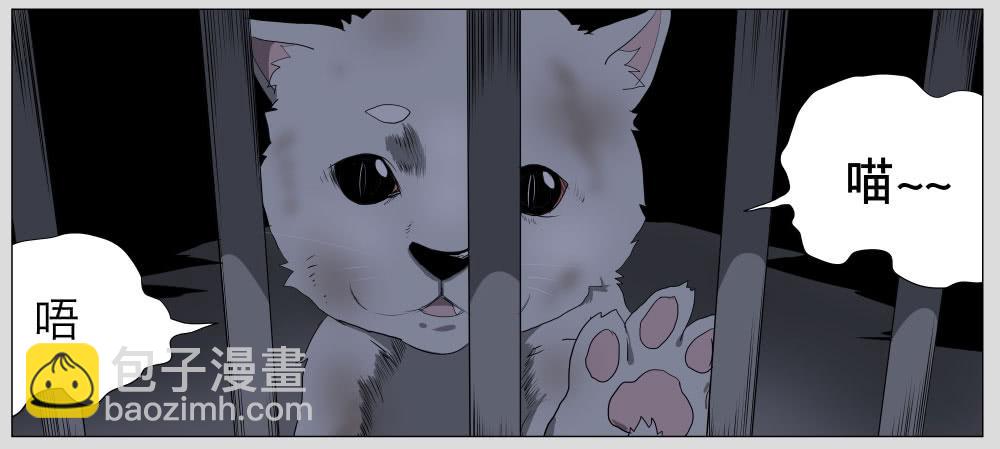011猫和他的猫part3-第11话